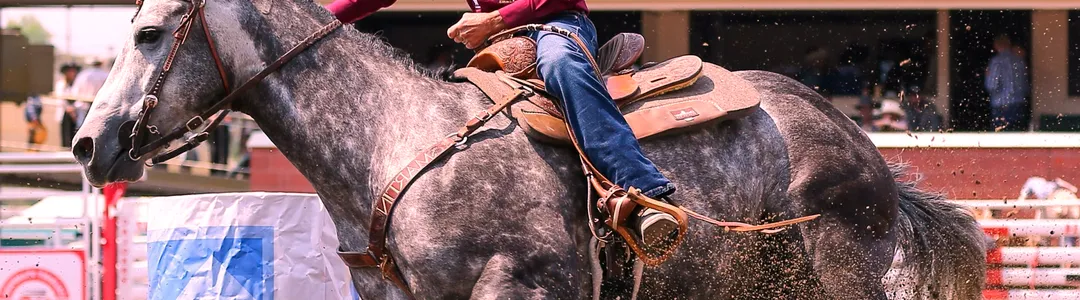Calgary Stampede Rodeo