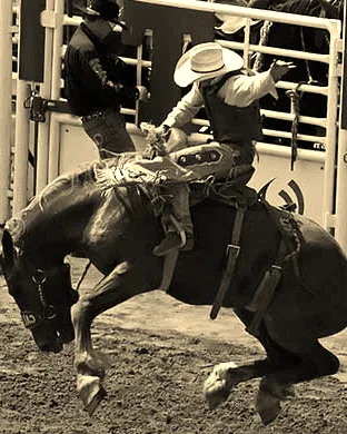 Calgary Stampede Rodeo