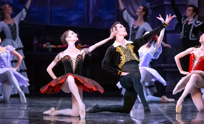 Don Quixote - Ballet