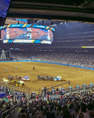 Calgary Stampede Evening Show